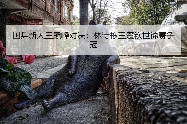 guo-ping-xin-ren-wang-dian-feng-dui-jue-lin-shi-dong-wang-chu-qin-shi-jin-sai-zheng-guan-2-874.jpg