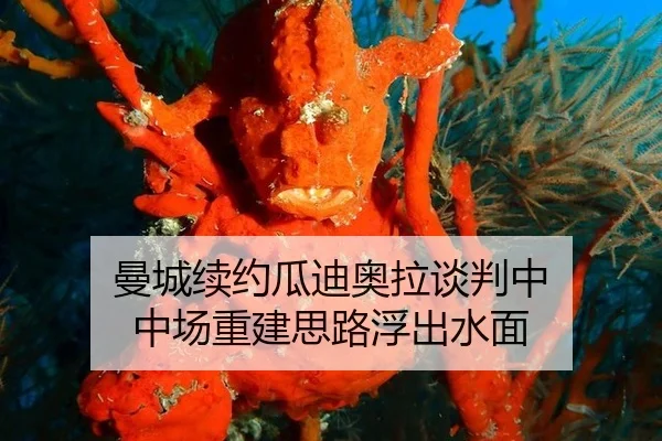 man-cheng-xu-yue-gua-di-ao-la-tan-pan-zhong-zhong-chang-chong-jian-si-lu-fu-chu-shui-mian-2-706.jpg